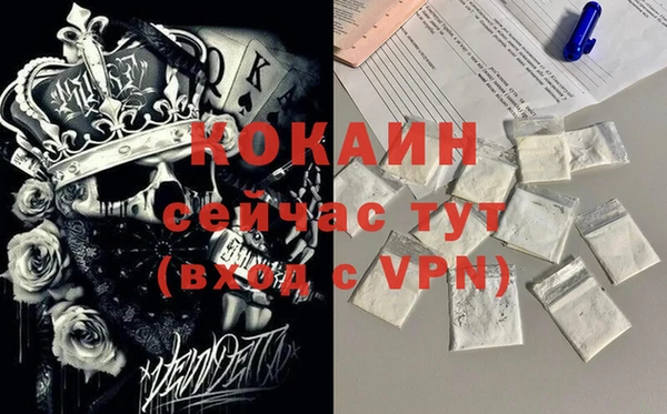 шишки Абинск