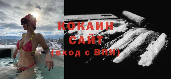 шишки Абинск