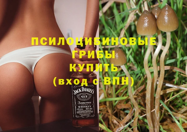сатива Абдулино