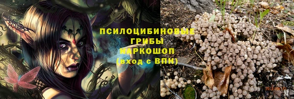 шишки Абинск