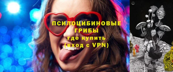 шишки Абинск